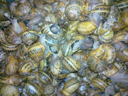 konečne sme doma...