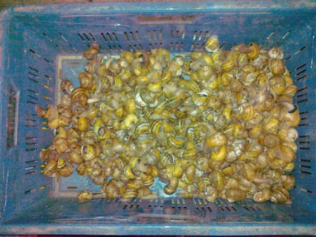 tak môžeme ísť konečne spať ...